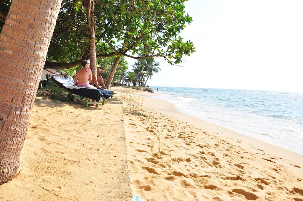 Ypsylon Tourist Resort Beruwala Ngoại thất bức ảnh